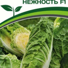 Партнер Капуста Пекинская НЕЖНОСТЬ F1 (0,5г) - Товары для дома и сада