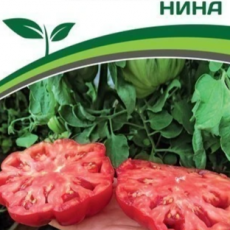 Партнер Томат НИНА (10шт) двойной пакет - Товары для дома и сада