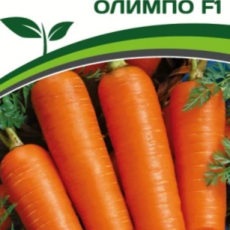 Партнер Морковь ОЛИМПО F1 (0,5г) - Товары для дома и сада