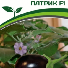 Партнер Баклажан ПАТРИК F1 (5шт) двойной пакет - Товары для дома и сада