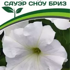 Партнер Петуния F1 САУЭР СНОУ БРИЗ / крупноцветковая кустовая^(10шт в амп) - Товары для дома и сада