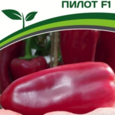 Партнер Перец ПИЛОТ F1 (10шт) двойной пакет - Товары для дома и сада