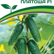 Партнер Огурец ПЛАТОША F1 (5шт) - Товары для дома и сада