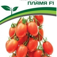 Партнер Томат ПЛАМЯ F1 (10шт) двойной пакет - Товары для дома и сада