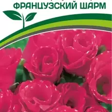 Партнер Примула F1 махровая серия "Тет-а-тет" ФРАНЦУЗСКИЙ ШАРМ ^(5шт в амп) - Товары для дома и сада