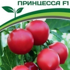 Партнер Томат ПРИНЦЕССА F1 (10шт)  двойной пакет - Товары для дома и сада