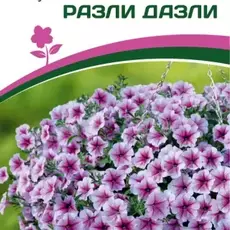 Партнер Петуния F1 серия "ЗАЦВЕТЁТ" Long РАЗЛИ ДАЗЛИ/ многоцветковая ампельная^(5шт в амп) - Товары для дома и сада