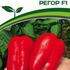 Партнер Перец РЕГОР F1 (5шт) двойной пакет - Товары для дома и сада