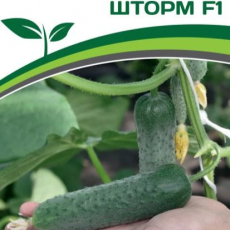Партнер Огурец ШТОРМ F1 (5шт) - Товары для дома и сада