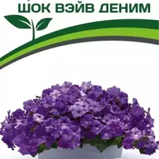 Партнер Петуния F1 серия ШОК ВЭЙВ ДЕНИМ/ многоцветковая каскадная^(5шт в амп) - Товары для дома и сада
