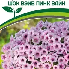 Партнер Петуния F1 серия ШОК ВЭЙВ ПИНК ВАЙН/ многоцветковая каскадная^(5шт в амп) - Товары для дома и сада