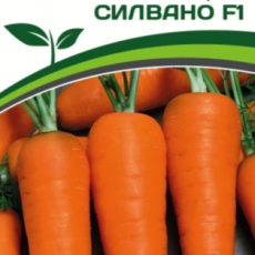Партнер Морковь СИЛВАНО F1 (0,5г) - Товары для дома и сада