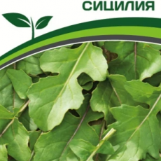 Партнер Индау (рукола) СИЦИЛИЯ (1г) - Товары для дома и сада