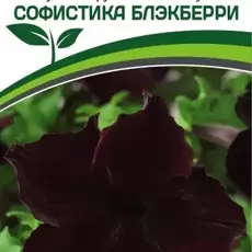 Партнер Петуния F1 серия СОФИСТИКА БЛЭКБЕРРИ/ крупноцветковая кустовая ^(5шт в амп) - Товары для дома и сада
