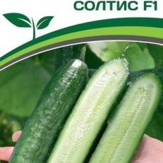 Партнер Огурец СОЛТИС F1 (5шт) - Товары для дома и сада