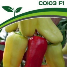 Партнер Перец СОЮЗ F1 (10 шт) двойной пакет - Товары для дома и сада