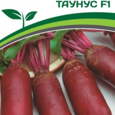 Партнер Свекла ТАУНУС F1 (1г) - Товары для дома и сада