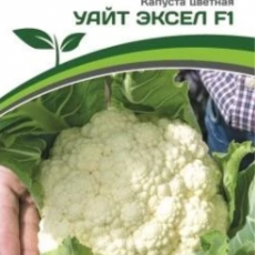 Партнер Капуста цветная УАЙТ ЭКСЕЛ F1 (10шт в амп) - Товары для дома и сада