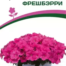 Партнер Петуния F1 серия "ЗАЦВЕТЁТ" Short ФРЕШБЭРРИ/ многоцветковая каскадная^(5шт в амп) - Товары для дома и сада