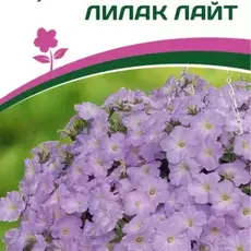 Партнер Петуния F1 серия "ЗАЦВЕТЁТ" Short ЛИЛАК ЛАЙТ/ многоцветковая каскадная^(5шт в амп) - Товары для дома и сада