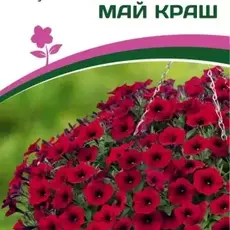 Партнер Петуния F1 серия "ЗАЦВЕТЁТ" Long МАЙ КРАШ / многоцветковая ампельная^(5шт в амп) - Товары для дома и сада