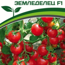 Партнер Томат ЧЕРРИ ЗЕМЛЕДЕЛЕЦ F1 (0,05 г) двойной пакет - Товары для дома и сада