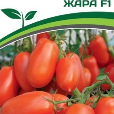 Партнер Томат ЖАРА F1 (10шт) двойной пакет - Товары для дома и сада