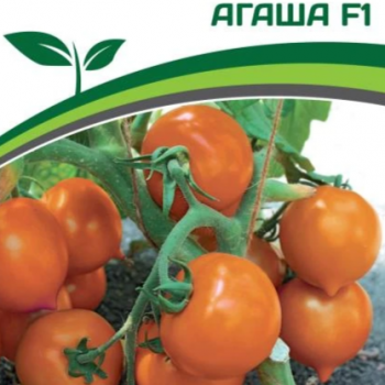 Партнер Томат АГАША F1 (0,05г)  двойной пакет - Товары для дома и сада