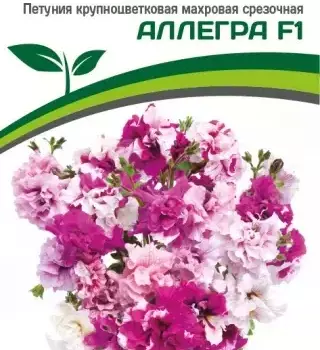 Партнер Петуния серия "Аллегра" АЛЛЕГРА F1 / крупноцветковая махровая срезочная^(5шт в амп) - Товары для дома и сада