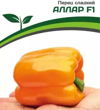 Партнер Перец АЛЛАР F1 ^(5шт) 2-ной пак - Товары для дома и сада