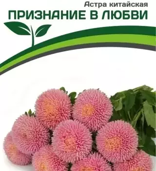 Партнер Астра китайская ПРИЗНАНИЕ В ЛЮБВИ (5шт в амп) - Товары для дома и сада