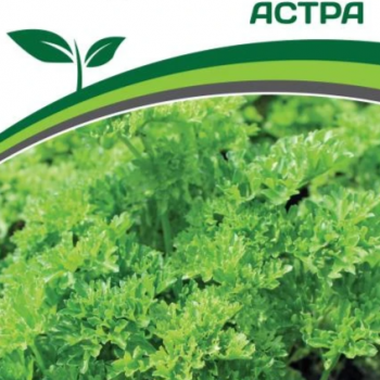 Партнер Петрушка листовая кудрявая АСТРА (3г) - Товары для дома и сада