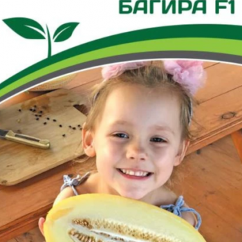 Партнер Дыня БАГИРА F1 (5шт) двойной пакет - Товары для дома и сада
