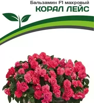 Партнер Бальзамин F1 махровый КОРАЛ ЛЕЙС ^(5шт в амп) - Товары для дома и сада