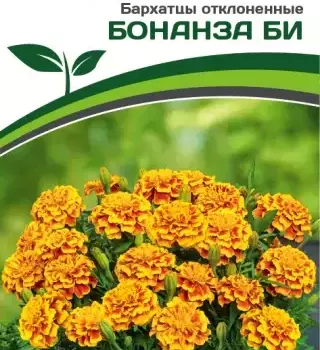 Партнер Бархатцы отклоненные БОНАНЗА БИ ^(10шт) - Товары для дома и сада
