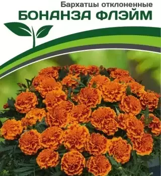 Партнер Бархатцы отклоненные БОНАНЗА ФЛЭЙМ ^(10шт) - Товары для дома и сада
