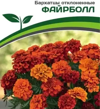 Партнер Бархатцы отклоненные ФАЙРБОЛЛ ^(10шт) - Товары для дома и сада