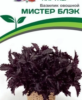 Партнер Базилик овощной серия "Букет Прованса" МИСТЕР БЛЭК (0,05г в амп) - Товары для дома и сада