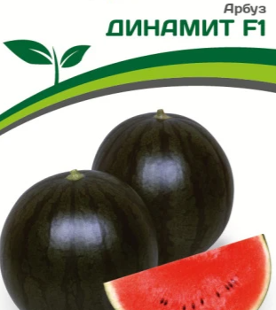 Партнер Арбуз ДИНАМИТ F1 (5шт) двойной пакет - Товары для дома и сада