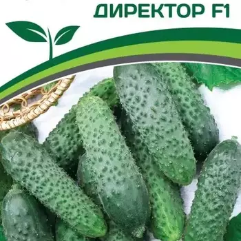 Партнер Огурец Директор F1 (5 шт) - Товары для дома и сада