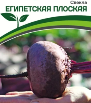 Партнер Свекла ЕГИПЕТСКАЯ ПЛОСКАЯ (3г) - Товары для дома и сада