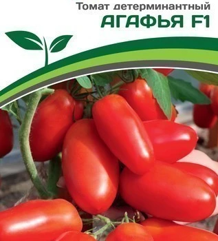 Партнер Томат АГАФЬЯ F1 (0,1 г) - Товары для дома и сада
