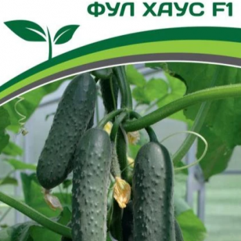 Партнер Огурец ФУЛ ХАУС F1 (5шт) - Товары для дома и сада