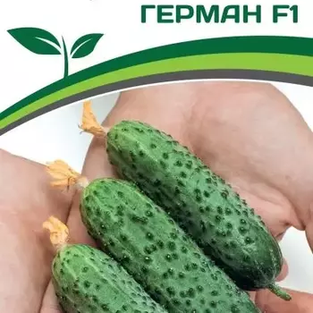 Партнер Огурец Герман F1 (5 шт) - Товары для дома и сада