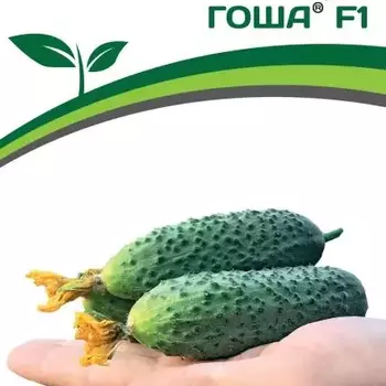 Партнер Огурец Гоша (5шт) - Товары для дома и сада