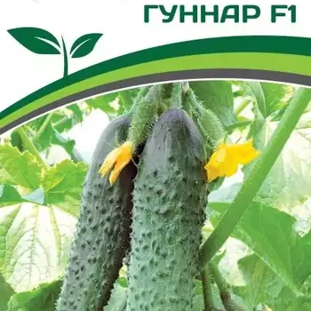 Партнер Огурец Гуннар (5шт) - Товары для дома и сада