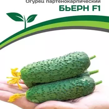 Партнер Огурец Бьерн F1 (5 шт) - Товары для дома и сада