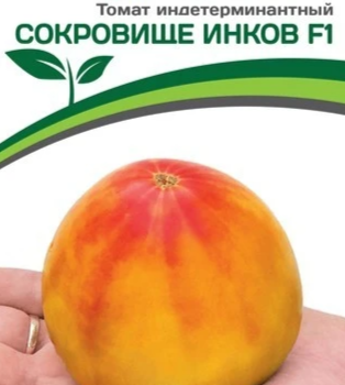 Партнер Томат СОКРОВИЩЕ ИНКОВ F1 (10шт) двойной пакет - Товары для дома и сада