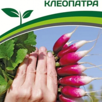 Партнер Редис КЛЕОПАТРА (2г) - Товары для дома и сада