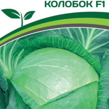 Партнер Капуста б/к КОЛОБОК F1 (0,2г в амп) - Товары для дома и сада